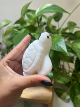 Load image into Gallery viewer, White Jade – The Stone of Peace, Protection & Pure Intention