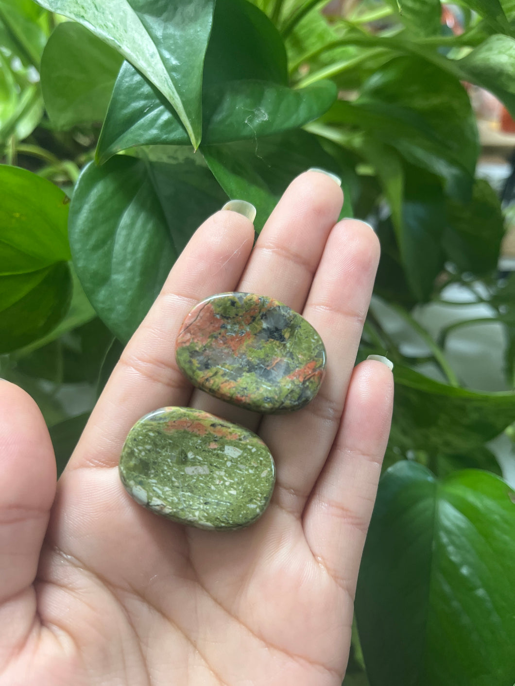 Rainforest Jasper Worry Stone – Stone of Growth & Renewal