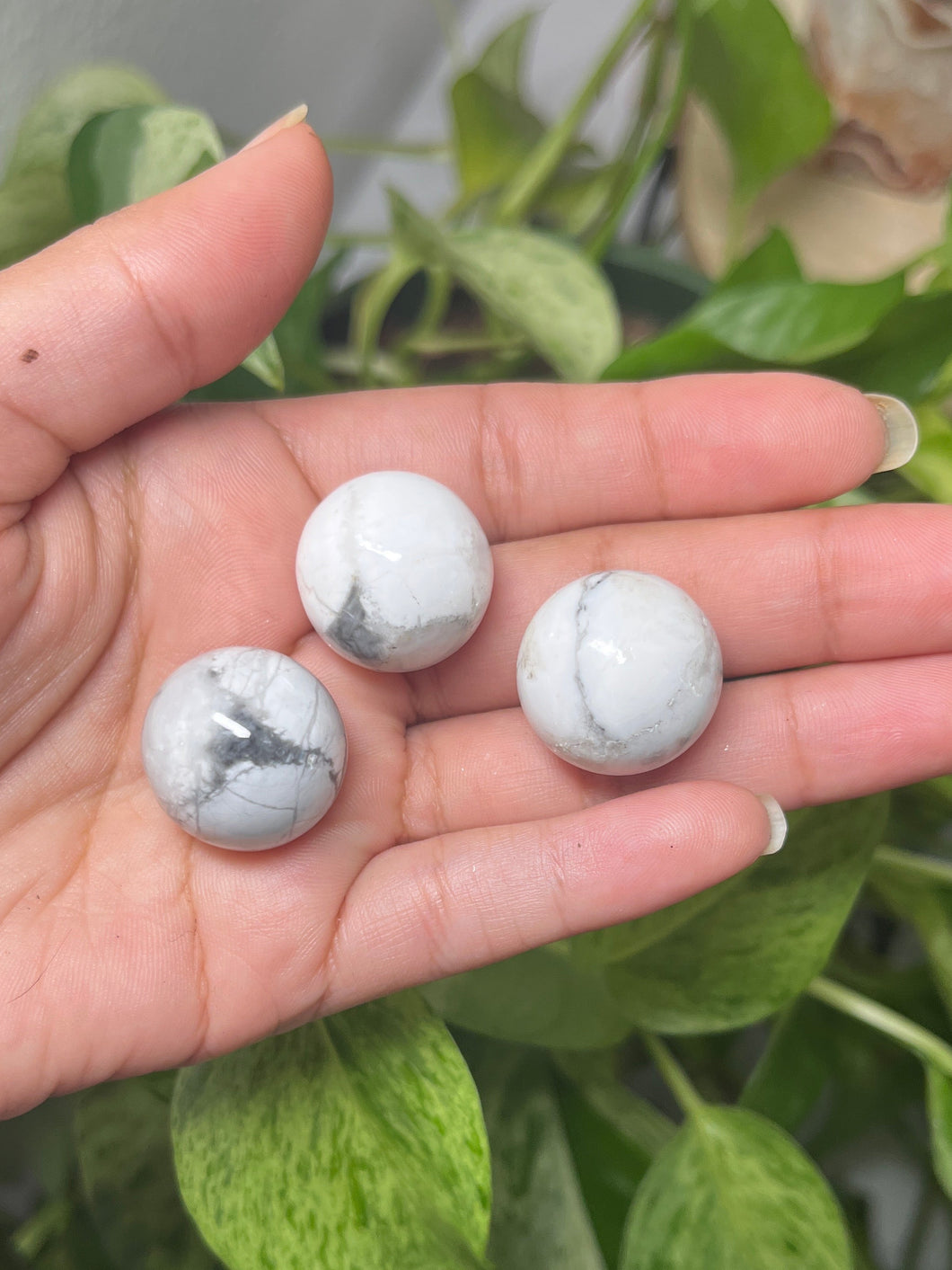 Howlite Spheres— Stone of Peace & Patience