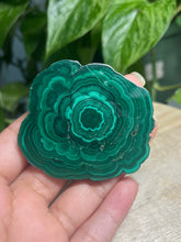 Load image into Gallery viewer, Malachite slabs— Stone of Transformation &amp; Protection
