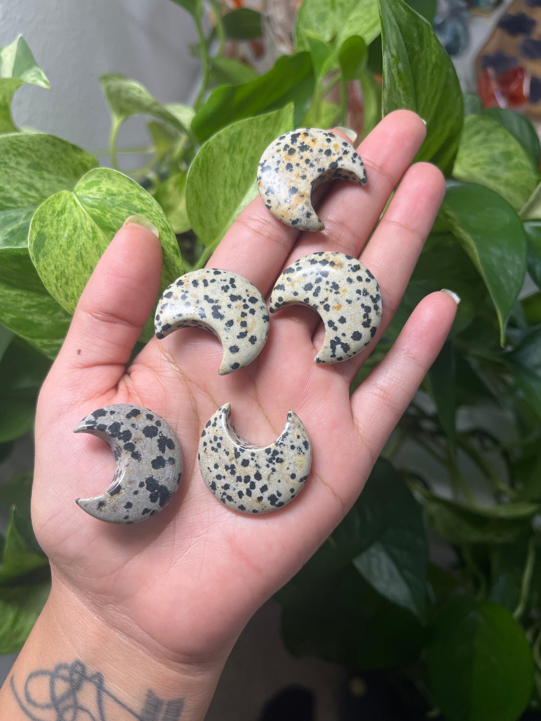 Dalmatian Jasper Moon— Stone of Joy & Grounded Energy