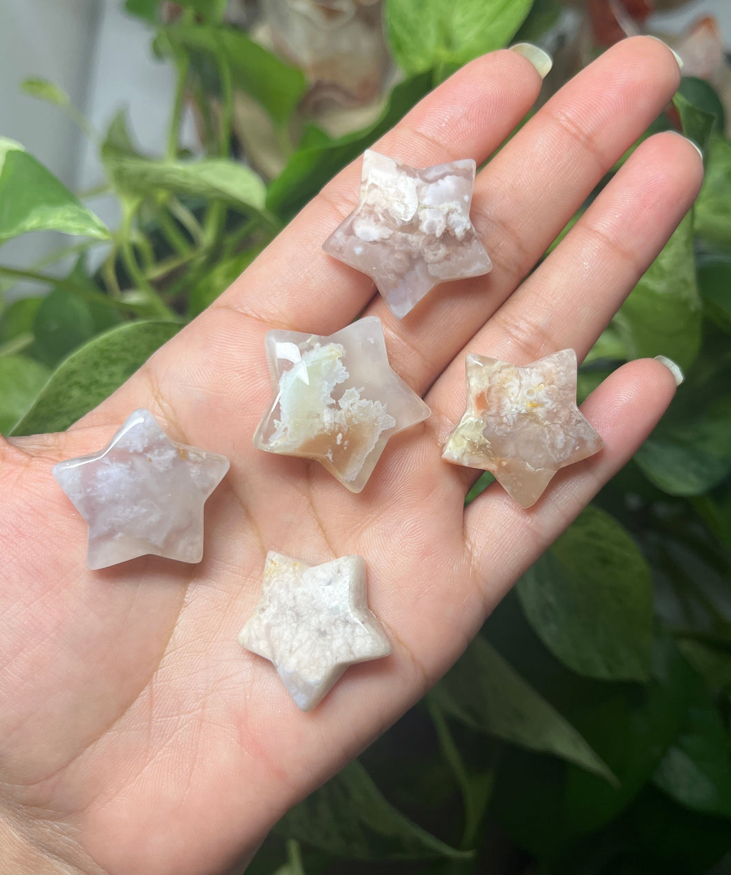 Flower Agate stars— Stone of Growth & Inner Bloom