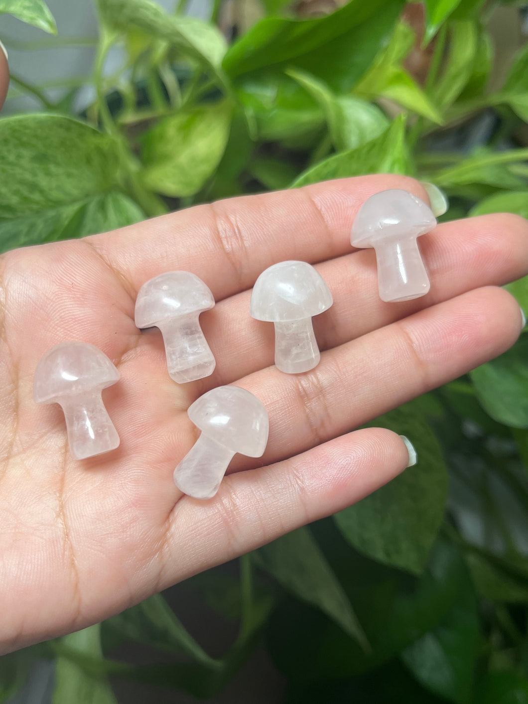 Rose Quartz Mushrooms— Stone of Love & Compassion