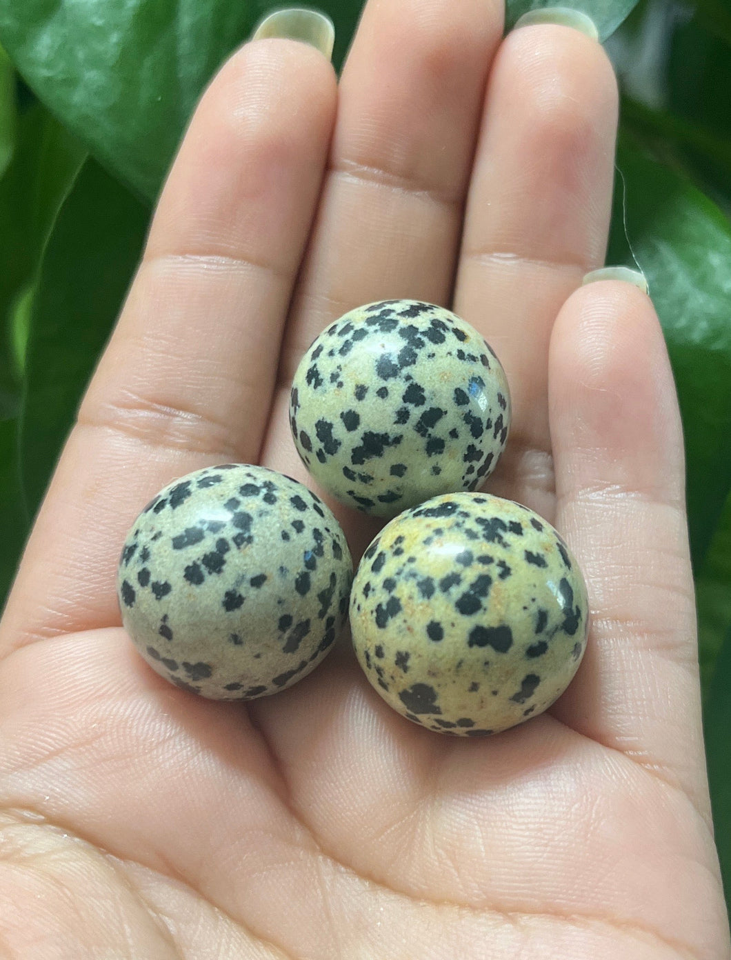 Dalmatian Sphere— Stone of Joy & Grounded Energy