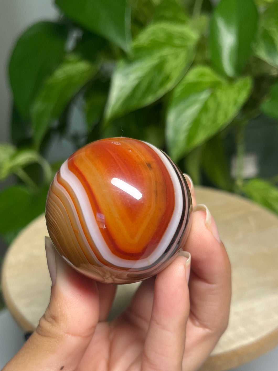 Sardonyx sphere— Stone of Strength & Protection