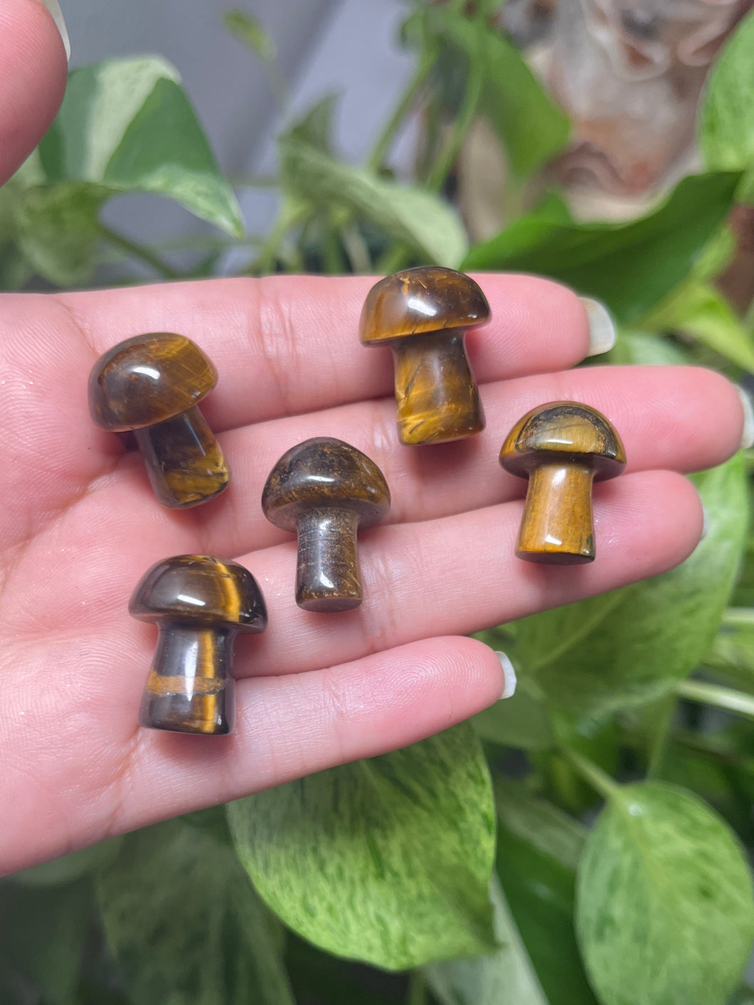Tiger’s Eye Mushrooms — Stone of Courage & Confidence