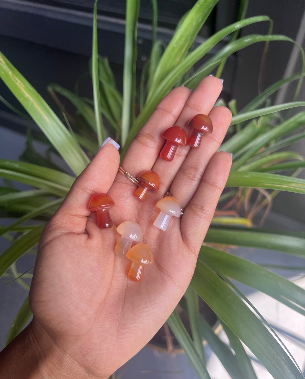 Carnelian Mushroom