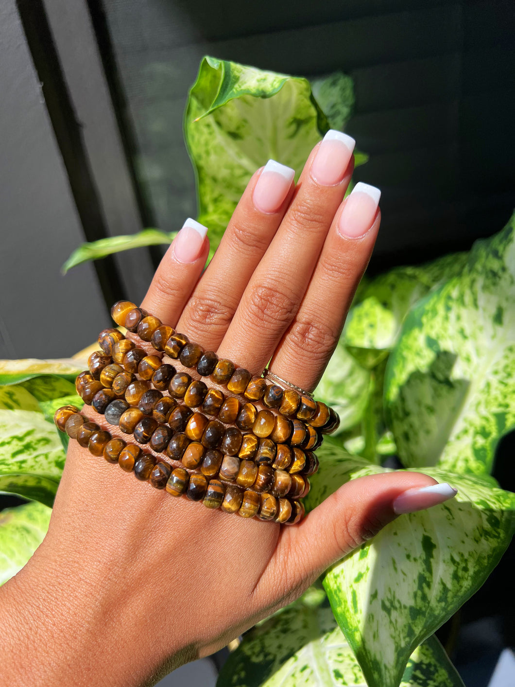 Faceted Rondelle Tiger Eye Bracelet 8mm