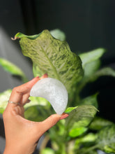 Load image into Gallery viewer, Satin Spar (Selenite) Crescent Moon Bowl
