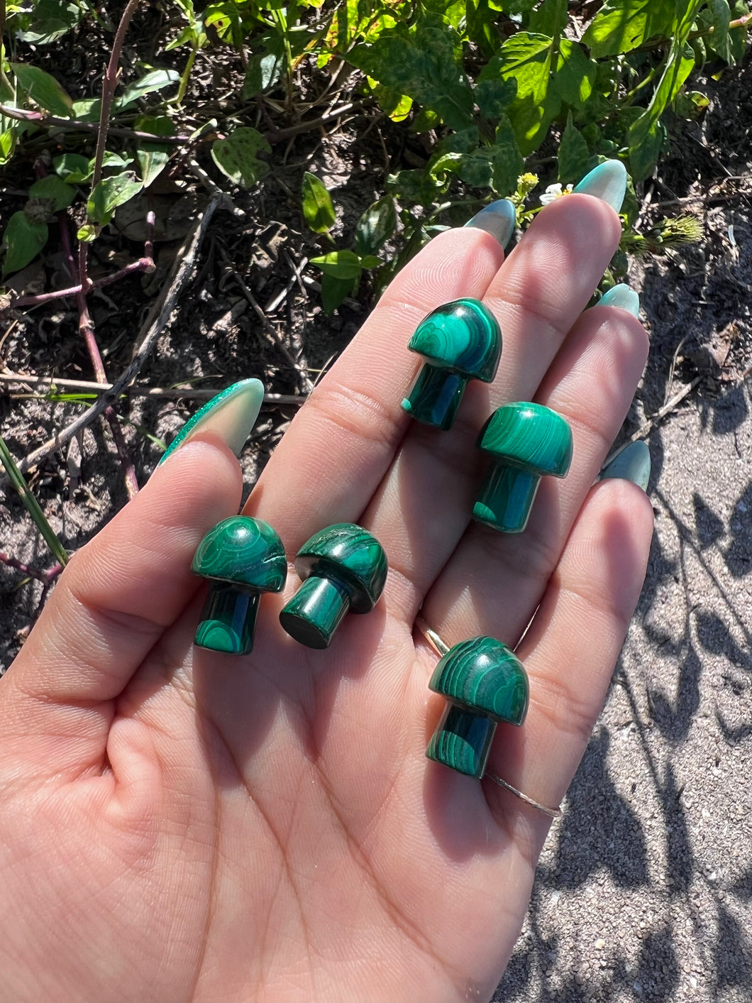 Malachite Mushroom