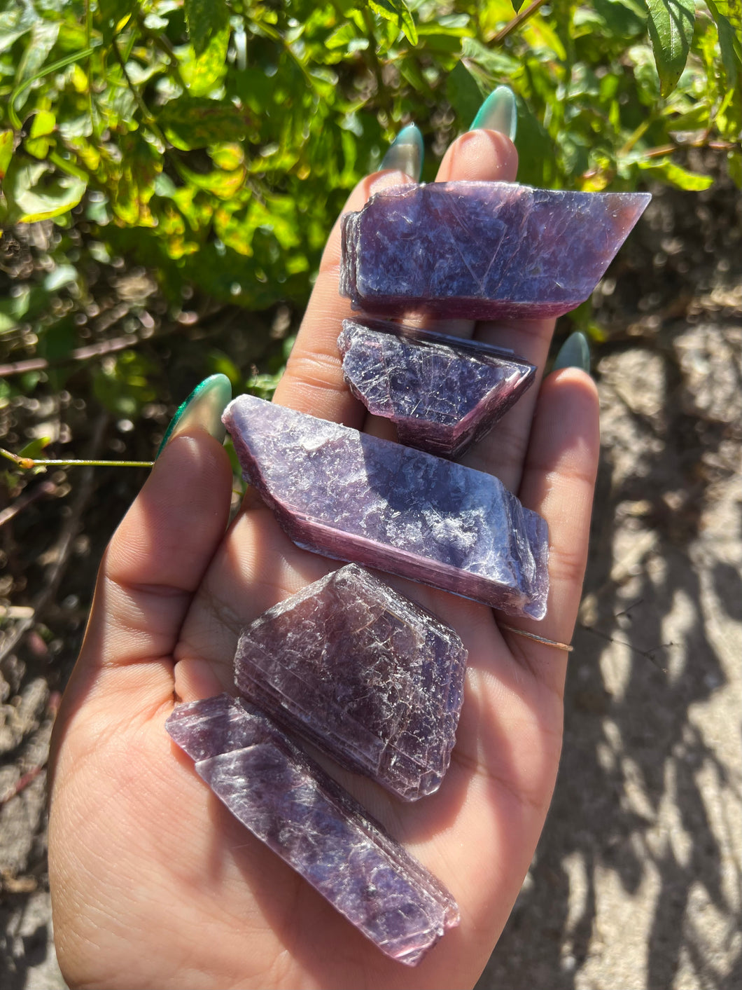 Gem HQ Lepidolite