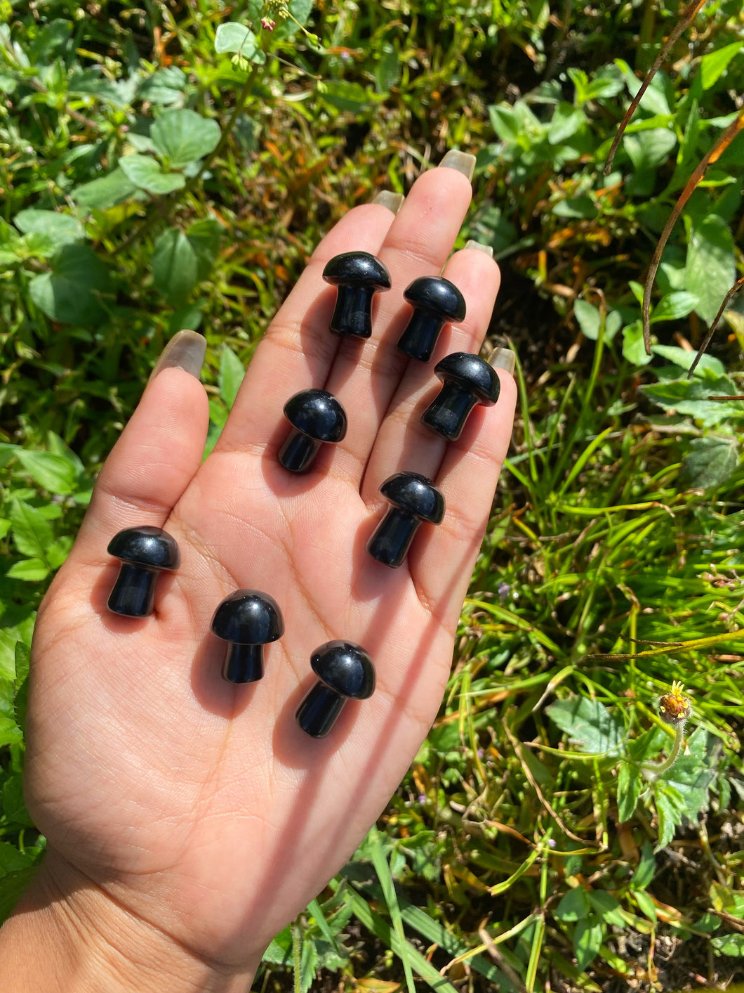 Obsidian Mushroom